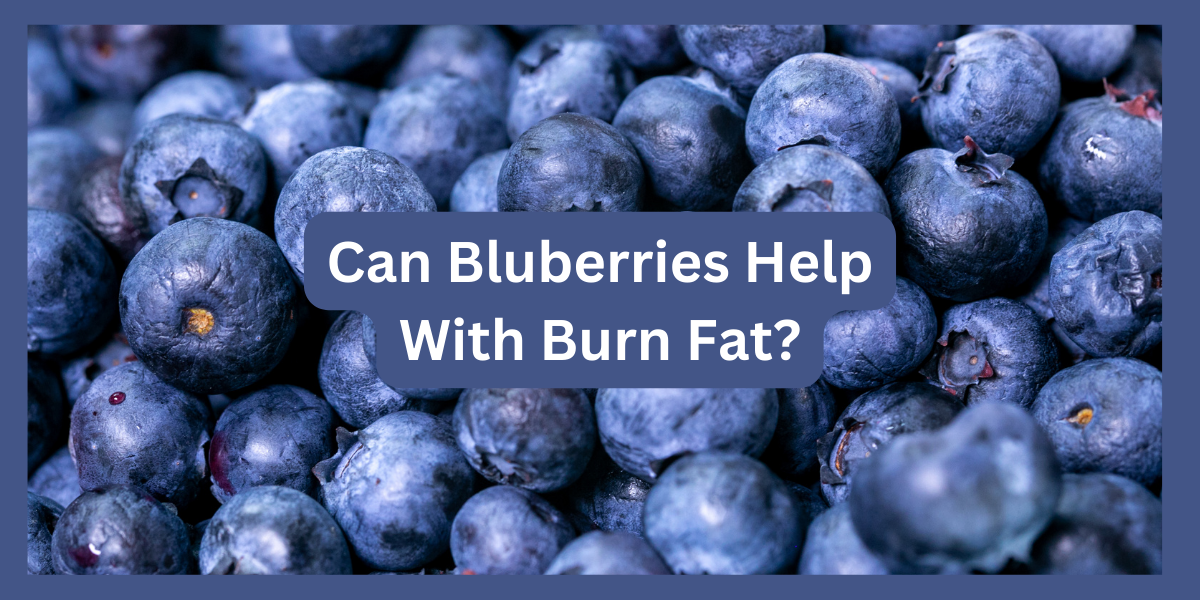 Can Blueberries Help Burn Fat? Unveiling Their Powerful Impact on Weight Management.